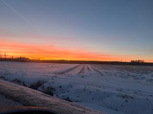 Honey Homestay - Skellefteå