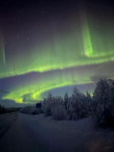 Honey Homestay - Skellefteå