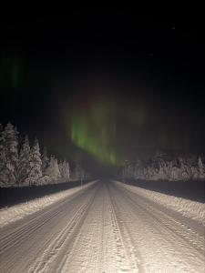 Honey Homestay - Skellefteå