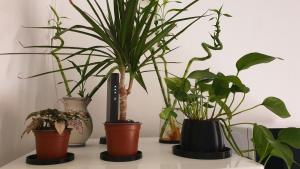 Cozy house near train station, walking distance from old town and Bologna Exhibition Centre