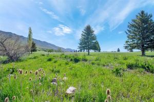 MH 511 | Ski, Hike & Relax with Views!