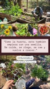 Glamping Tribu Nómade