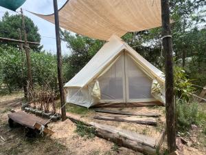 Glamping Tribu Nómade
