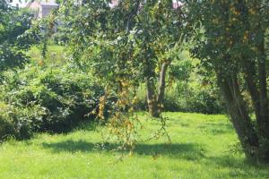 Hs am Weidengrund Whg 4