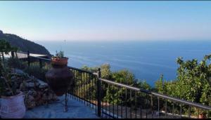 To giataki tou pappou