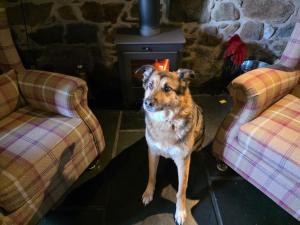 4 Bed in Arthog oc-b31966