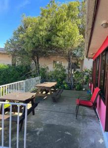 Canañas Reñaca Dunar