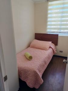 Apartamento acogedor