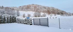 Domek pod Sosnową Górą