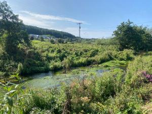 Luxurious & bright home for 6 Westport dogfriendly