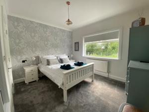 Luxurious & bright home for 6 Westport dogfriendly