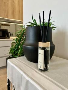 Explore Ellipse - The Sage Apartment