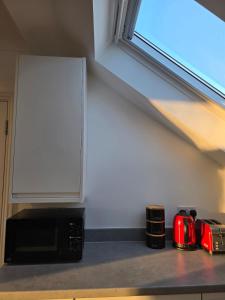 Cosy Skylight Wimbledon chase Flat