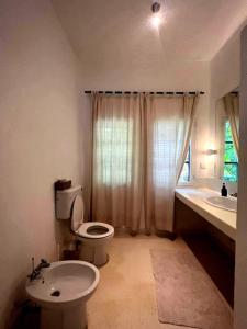 Beachfront Palm Haven