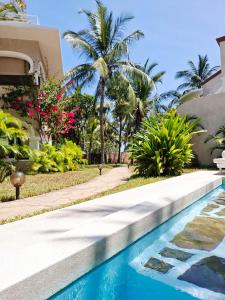 Beachfront Palm Haven