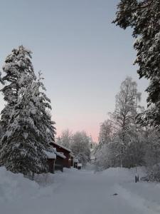 Lantlivlodge i Österjörn - Midgård