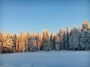 Lantlivlodge i Österjörn - Midgård