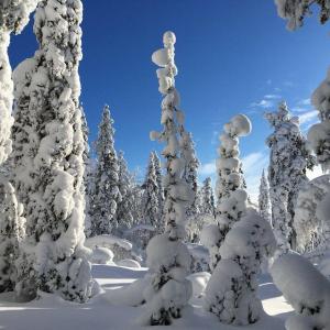 Lantlivlodge i Österjörn - Midgård