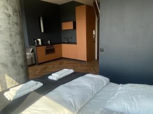 Hanza Tower 21 FLOOR Panorama Studio