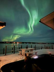 Riverside Cottage Aalto Borealis