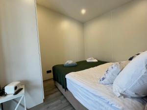 Шале Біла Ведмедиця