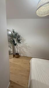 Chez Jérome - Bright and cinematic atmosphere