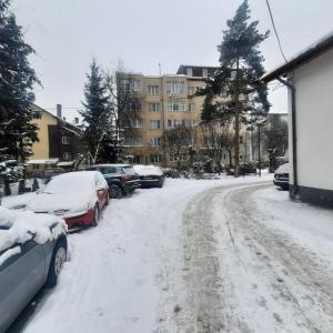 Downtown Cozy Retreat -Apartament Premium Central cu parcare