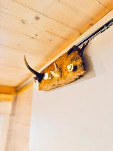 Magnolia Hoeve - Unieke Bestemming voor Paardenliefhebbers en Bijzondere Overnachtingen in de natuur