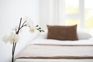 Modern Design Apartment with Balcony & Free Parking - Long Term Stays