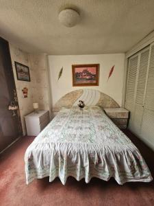 Vintage Apartment Narvarte & Art Gallery