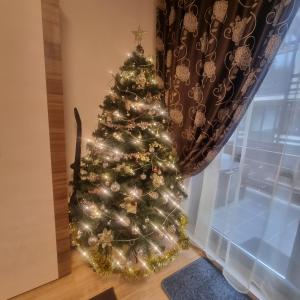 Apartament Kalinderu K4 Busteni