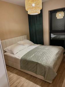 Apartament Kwiatowa