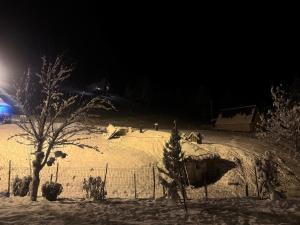 Casa Ionuț și Sofia