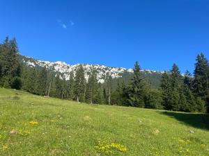 Casa Ionuț și Sofia