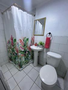 Hostel Casa Flamenco Hostal