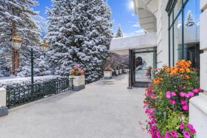 Central Majestic Apartment Near Skiing - Happy Rentals