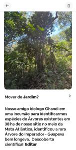 Loft com piscina natural em Cachoeiras de Macacu