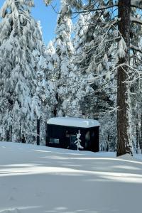 Postcard Cabins Beaver Creek, Outdoor Collection by Marriott Bonvoy