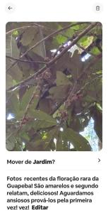 Loft com piscina natural em Cachoeiras de Macacu