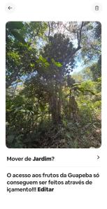 Loft com piscina natural em Cachoeiras de Macacu