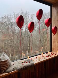 3 x bespoke built cabins with hot tubs, mid Wales