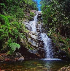Yellow House Santa Clara