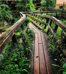 Yellow House Santa Clara