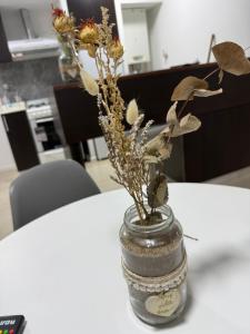 Departamento al frente, zona la perla