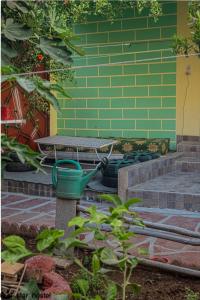 Hostel & CampSurf ElStar familial