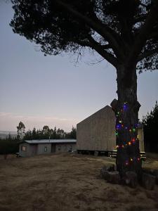 Alojamiento y Desayuno Privado de Lujo C4