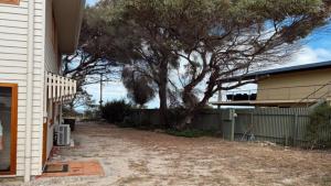 Gone Fishing -Amongst Trees, Close To Beach