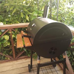 Cabaña Petalos Villarrica bungalows 3 personas