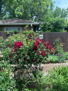 Quaint Backyard Refuge