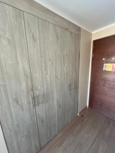 Departamento céntrico en osorno